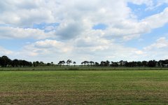 _DSC9628.jpg