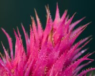 untitled-1-137.jpg