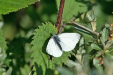 DSC_1785.jpg