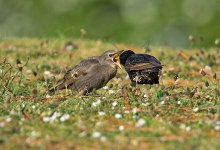 DSC_1802.jpg
