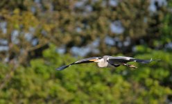 DSC_1674.jpg