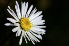 DSC_9300.jpg