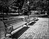 5-28-15 Brecksville   18bw..jpg