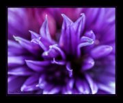 DSC_9301_Web.jpg