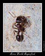 DSC_9290_Web.jpg