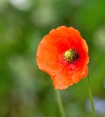 DSC_1851.jpg