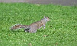 DSC_1898.jpg