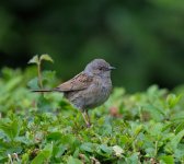 DSC_1876.jpg