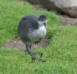 DSC_1835.jpg