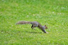 DSC_1970.jpg