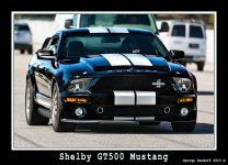 DSC_7970_Web.jpg