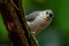DSC_1560.jpg