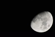 DSC_0150.jpg