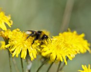 DSC_2074.jpg