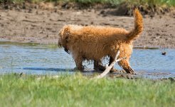 DSC_2052.jpg
