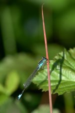 _DSC9694.jpg