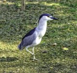 _DSC3139DxO_tonemapped (2)-2.jpg