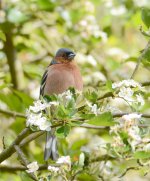 DSC_0546.jpg