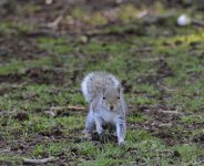 DSC_0035.jpg