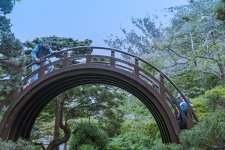 Bridge.jpg