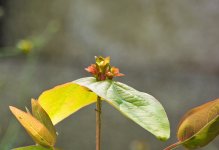 DSC_2289.jpg
