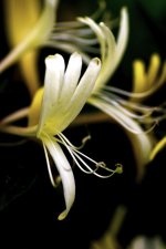 _DSC5010-Edit.jpg