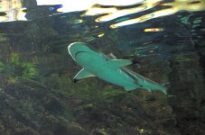 30th May 2015 031.JPG