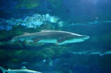 30th May 2015 033.JPG