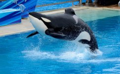 30th May 2015 063.JPG