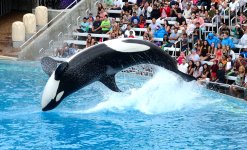 30th May 2015 067.JPG