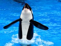 30th May 2015 071.JPG