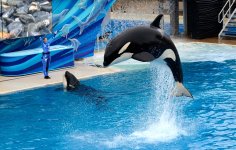 30th May 2015 122.JPG