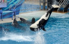 30th May 2015 163.JPG