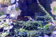 30th May 2015 178.JPG