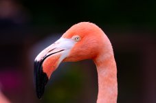 30th May 2015 182.JPG