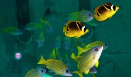 30th May 2015 183.JPG