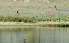 31st May 2015 050.JPG