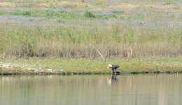 31st May 2015 056.JPG