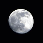moon 2.jpg