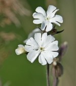 DSC_2291.jpg