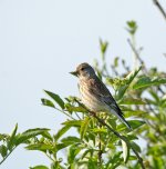 DSC_2192.jpg