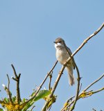 DSC_2319.jpg
