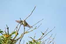 DSC_2315.jpg