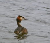 DSC_0297.jpg