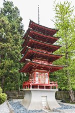 Japanese Garden.jpg