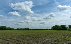 _DSC9910.jpg