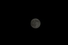 _DSC9988-1.jpg