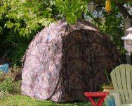 DSC_2832-doghouse-0001.jpg