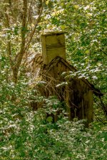 DSC_2729.jpg