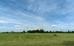 _DSC9916.jpg
